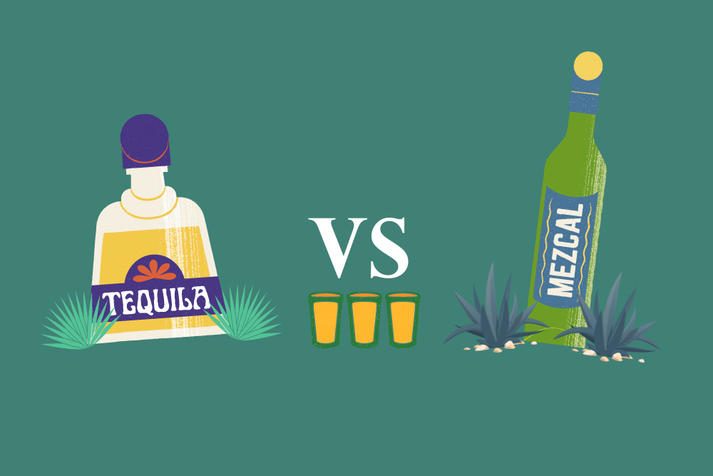Artwork of a tequila bottle with blue agaves vs. a bottle of Mezcal with different agave varieties.